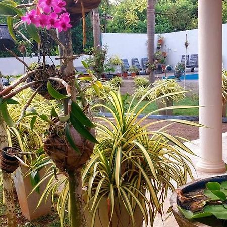 Turtle Paradise Villa Kosgoda Dış mekan fotoğraf